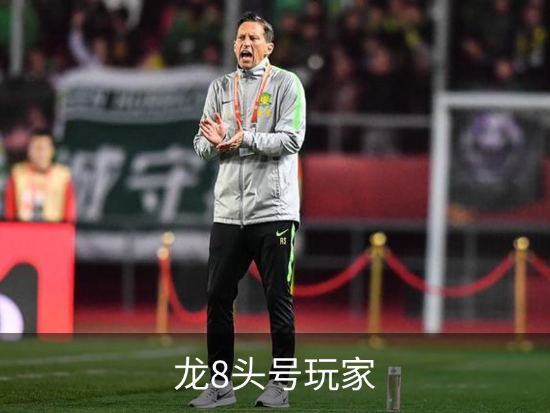 龙8头号玩家概况